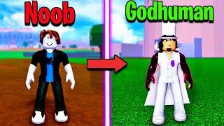 I Went from Noob To GODHUMAN in One Video Blox Fruits