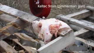 22 LR and 9mm BLOWS APART CHICKEN