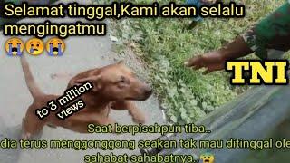 This dog is crying doesnt want to be left by Indonesian Army who will return to headquarters