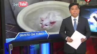 News5E  PNEWS JUNE 3 2013 WI 5