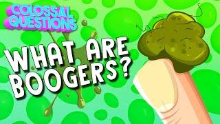 What Are Boogers?  COLOSSAL QUESTIONS