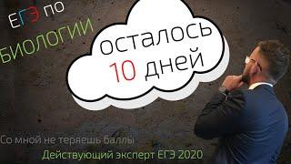 10 дней до ЕГЭ  готовимся к ЕГЭ по биологии   разбор статград ноябрь 2019 2 вариант