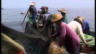 Fishing Adventures in Malaysia Documentary
