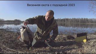 Весенняя охота с подсадной 2023. весенняя охота на селезня с подсадной