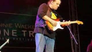 Blues Walter Trout - 1 - Mumbai - One Tree Hill Festival -