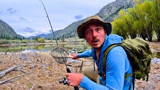 Fishing a TINY LAKE filled with GIANT TROUT