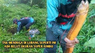 PENGHOBI MANCING BELUT PASTI TERGODA MELIHAT HASILNYA BELUT MONSTER SEPERTI INI