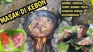 Bertahan hidup masak di kebon Sambel goreng tempe bumbu trasi di campur kemangi bunga kecombrang