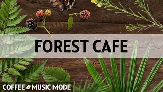 Relaxing Forest Bathing with Coffee Jazz Music