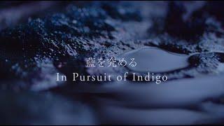 藍を究める In Pursuit of Indigo  Japanese ikat Traditional technique hand weaving natural indigo dye