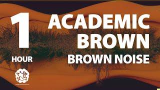 Academic Brown  1 hr  Brown Noise A Sonic Wellness Journey  Meditation Study Focus Calming