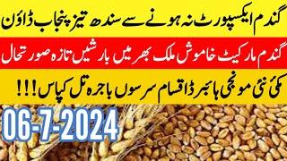 gandam rate todaywheat price today in punjab Makki ka rate today punjabmunji rate today sarson