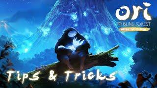 Best way to spend ability points - Ori and the Blind Forest