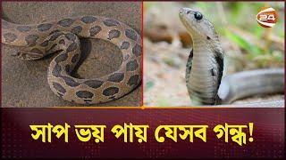 সাপ তাড়াবেন যেভাবে  Keep Away From Snake  Tips  Save Life  Channel 24