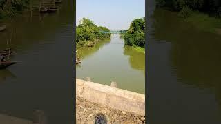 Crossing tributary of Ganges River through Rail Bridge #shorts