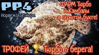 РР4. Норвежское море. ФАРМ Камбалы и Трофей Тюрбо в скрытой бухте с берега 2000 серы за стрим