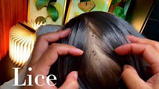 ASMR Satisfying Lice Removal  No Talking 