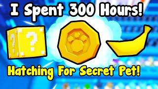 I Spent 300 Hours Hatching For Secret Pet - Pet Simulator 99 Roblox