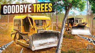 Bulldozers DESTROY An Entire Forest - The Chain Pulling Method