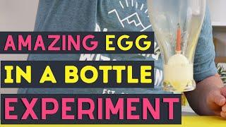 Egg in a Bottle Science Experiment  Air Pressure Experiment With Egg  Super Cool Egg Experiments