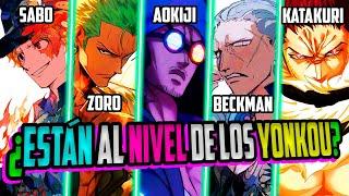 Los COMANDANTES de YONKOU y su NIVEL de FUERZAPODER en ONE PIECE