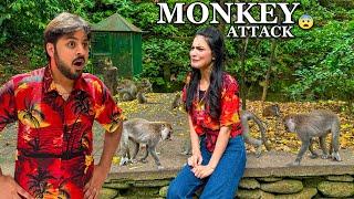 MONKEY FOREST MAI PHANS GAI   Areeb Mjy Chor K Bhag Gaye 