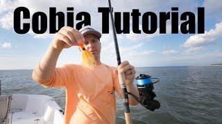 How to Catch Cobia Full Tutorial - Live Bait Eels and Bucktails