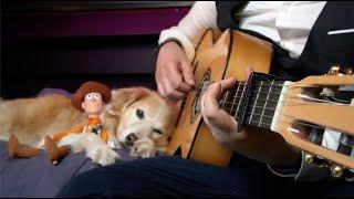 Toy Story - Youve Got a Friend In Me Fingerstyle Guitar