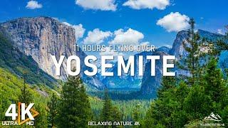 YOSEMITE 4K - Yosemite Valley  A Journey to the Best Falls - 4K Video UHD