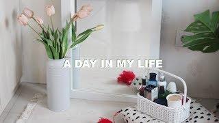 A Day in My Life  Vlog #6 Hidup Minimalis Indonesia