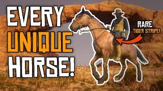 ALL RARE Horses & How To Get Them Red Dead Redemption 2 Unique Horse Locations