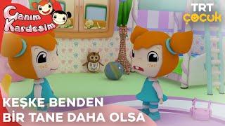 Canım Kardeşim - Keşke Benden Bir Tane Daha Olsa