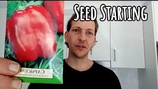 Starting Tomato & Pepper Seeds Indoors