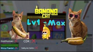 Blox Fruits Script  Kaitun Lv1 to Max Banana Cat Hub - Showcase