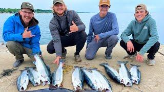 Pier Fishing Lake Michigan Steelhead - EASY LIMITS