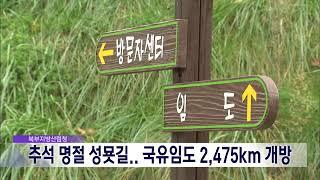 2024. 9. 11 원주MBC 추석 명절 성묫길.. 국유임도 2475km 개방