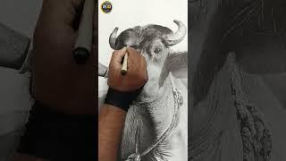 Worlds largest hyper realistic stippling drawing with hundred million dots 44×35 Inches.part-8#art