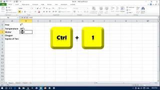 Apply Superscript & Subscript in Excel