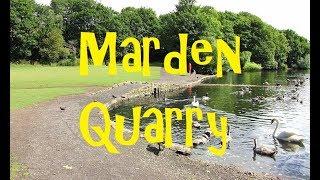 Feeding the Ducks at Marden Quarry