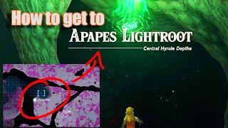 How to get to the Apapes Lightroot Under Hyrule Forest Park - Zelda Tears of the Kingdom Totk