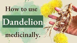 Dandelion 3 Healthy Uses & Remedies
