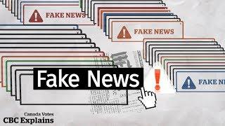 Why it’s so easy to fall for fake news and how to spot it