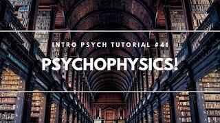 Psychophysics Intro Psych Tutorial #41