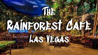 The Rainforest Cafe in Las Vegas  Indoor Thunderstorms and Jungle Vines