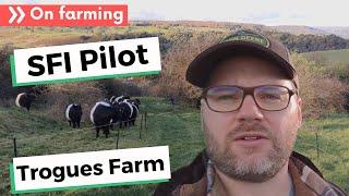 SFI pilot video diary - hear from Michael Orchard from Trogues Farm