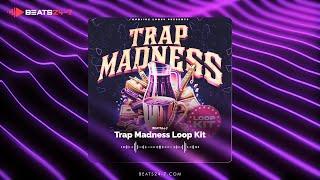 Royalty Free Hip Hop Loops Kit 2024 Trap Madness Loop Kit Trap Loops & Hip Hop Samples Pack
