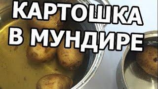 Как и сколько варить картошку в мундире. Картошка на все времена