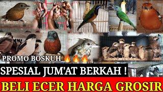 PROMO JUMAT BERKAH  BELI ECER HARGA GROSIR FULL STOK BURUNG LOKAL & IMPORT  SATSET BOSKUH