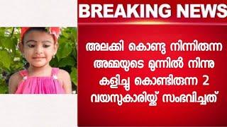 അമ്മയുടെ മുന്നിൽ നിന്നു കളിച്ച കുഞ്ഞിന് സംഭവിച്ചത് - വിശ്വസിക്കാൻ ആകാതെ നാട്