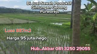 Purworejo Tanah Sawah di jual  Gebang Gintungan